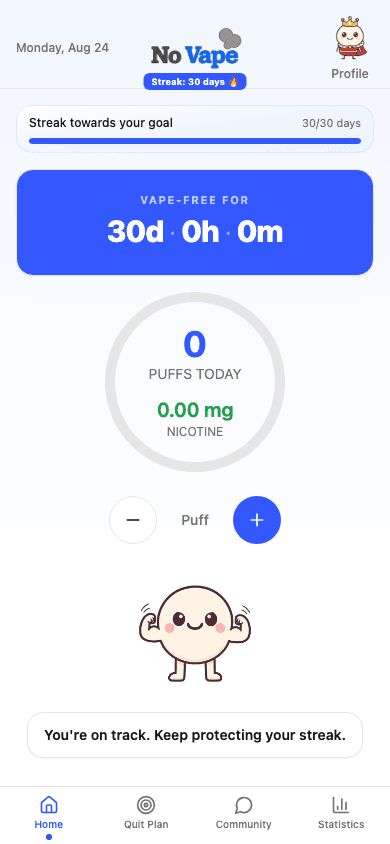 No Vape home screen in English with streak and vape-free time