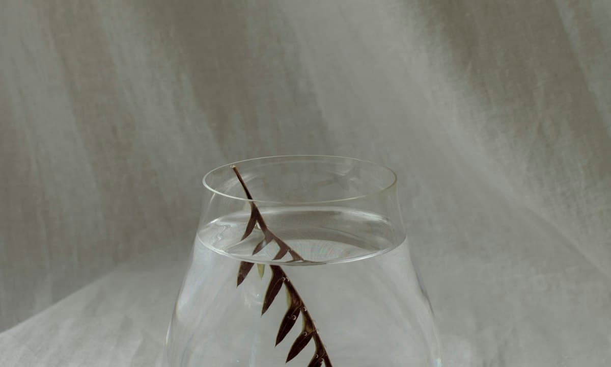 Glass of water with a leaf inside