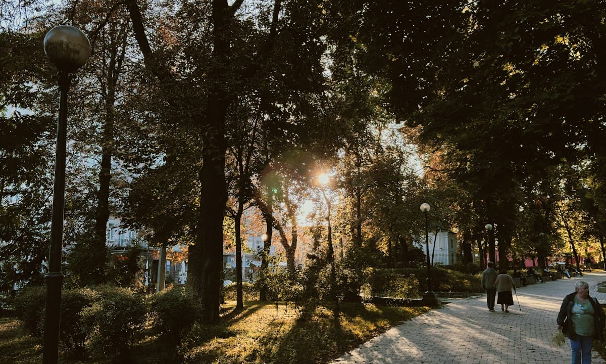 Sunlight across a park path